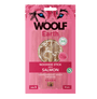 WOOLF pochoutka Earth NOOHIDE S Salmon 90g