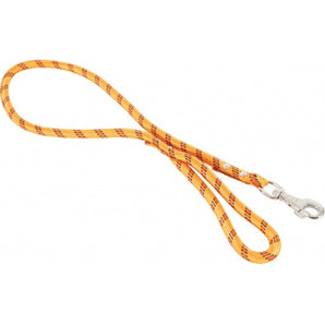 Vodítko pro psa, nylonové, 13mm, 2m, oranžové, Zolux